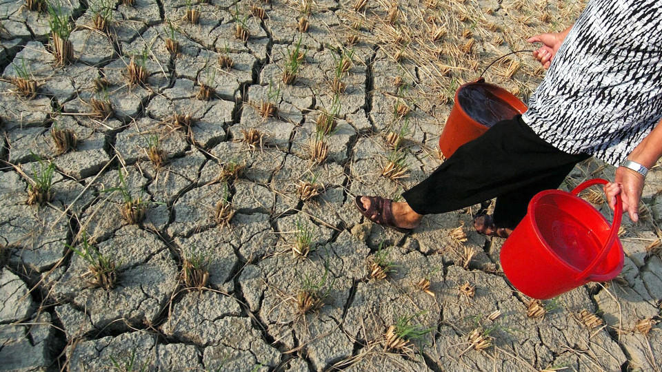 Klimawandel: Naher Osten und Nordafrika könnten durch Hitzewellen unbewohnbar werden Klimawandel: Große Hitze und Dürre in Nordafrika und im nahen Osten.