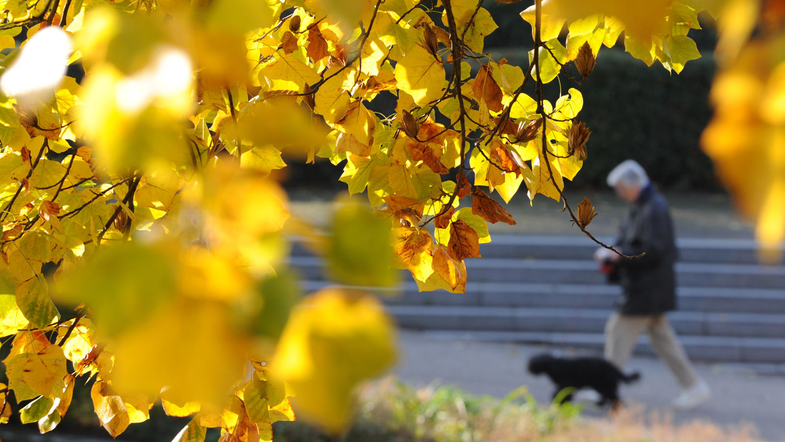 30-Tage-Wettervorhersage (26.09.2017): Goldener Oktober? Das wird nicht einfach 30-Tage-Wettervorhersage