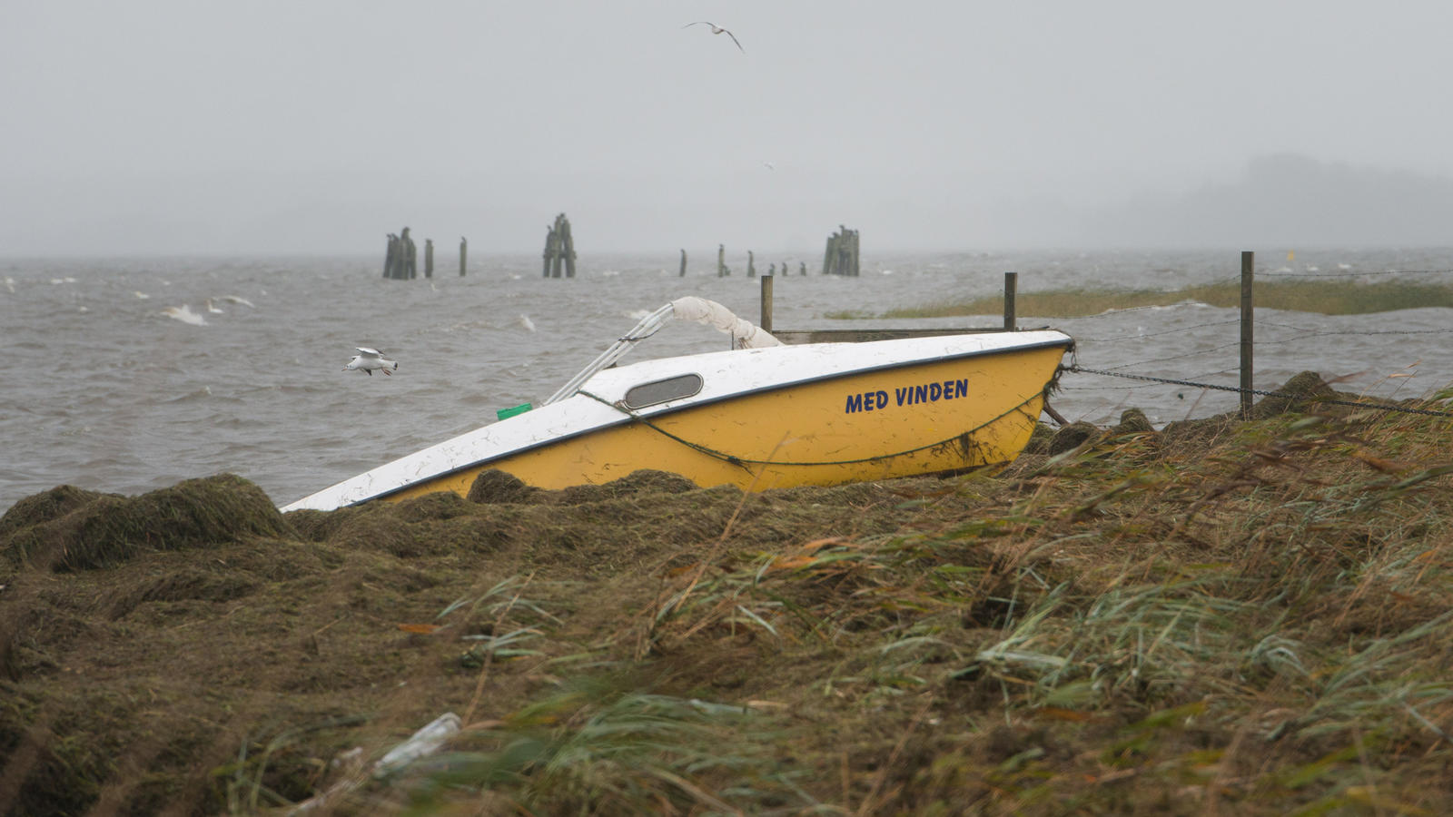 Ostsee: Sturmböen lassen Strände in Mecklenburg-Vorpommern und Schleswig-Holstein überfluten Sturmflut verursacht Schäden im Nordosten