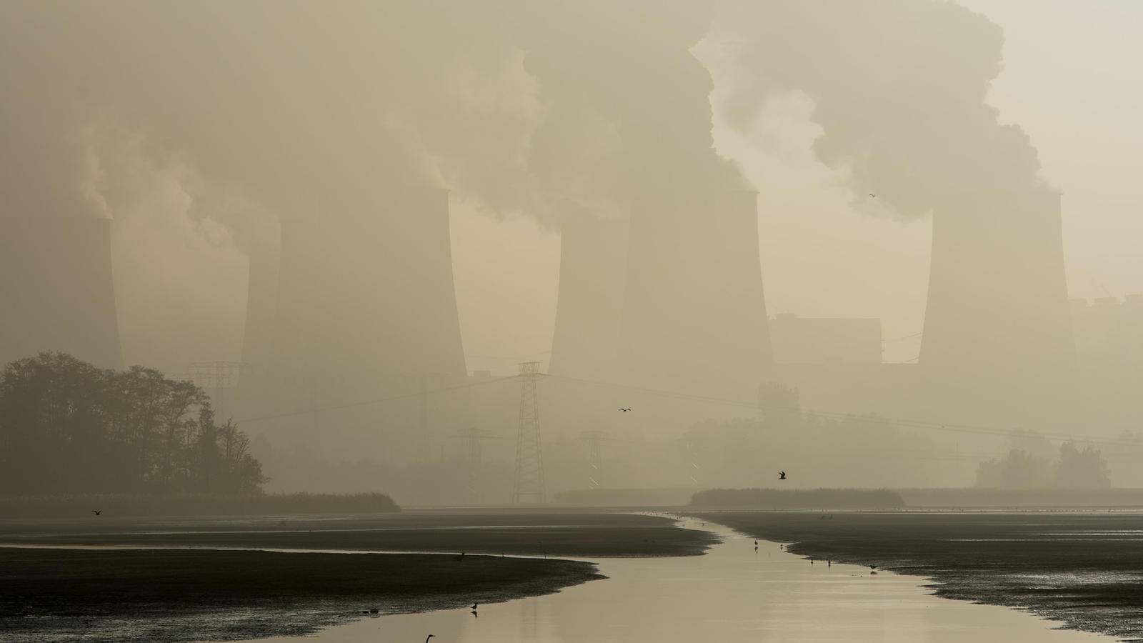Klimaschutzplan 2050: Barbara Hendricks muss ohne Plan zur UN-Klimakonferenz in Marrakesch reisen Deutschland reist ohne Plan zum UN-Klimagipfel.
