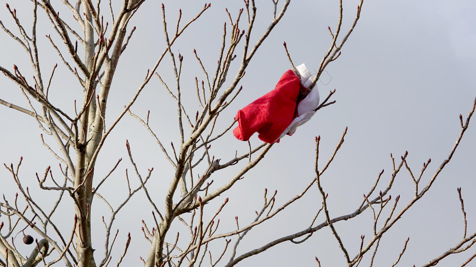 Wochenendwetter: Sturm am Samstag - Orkanböen auf den Bergen Eine Weihnachtsmütze hängt am 27.12.2017 bei stürmischem Wind in einem Baum in Aukrug (Schleswig-Holstein). Wem die weihnachtliche Kopfbedeckung vom Kopf geflogen ist, konnte nicht festgestellt werden. Foto: Carsten Rehder/dpa +++(c) dpa - Bildfunk++