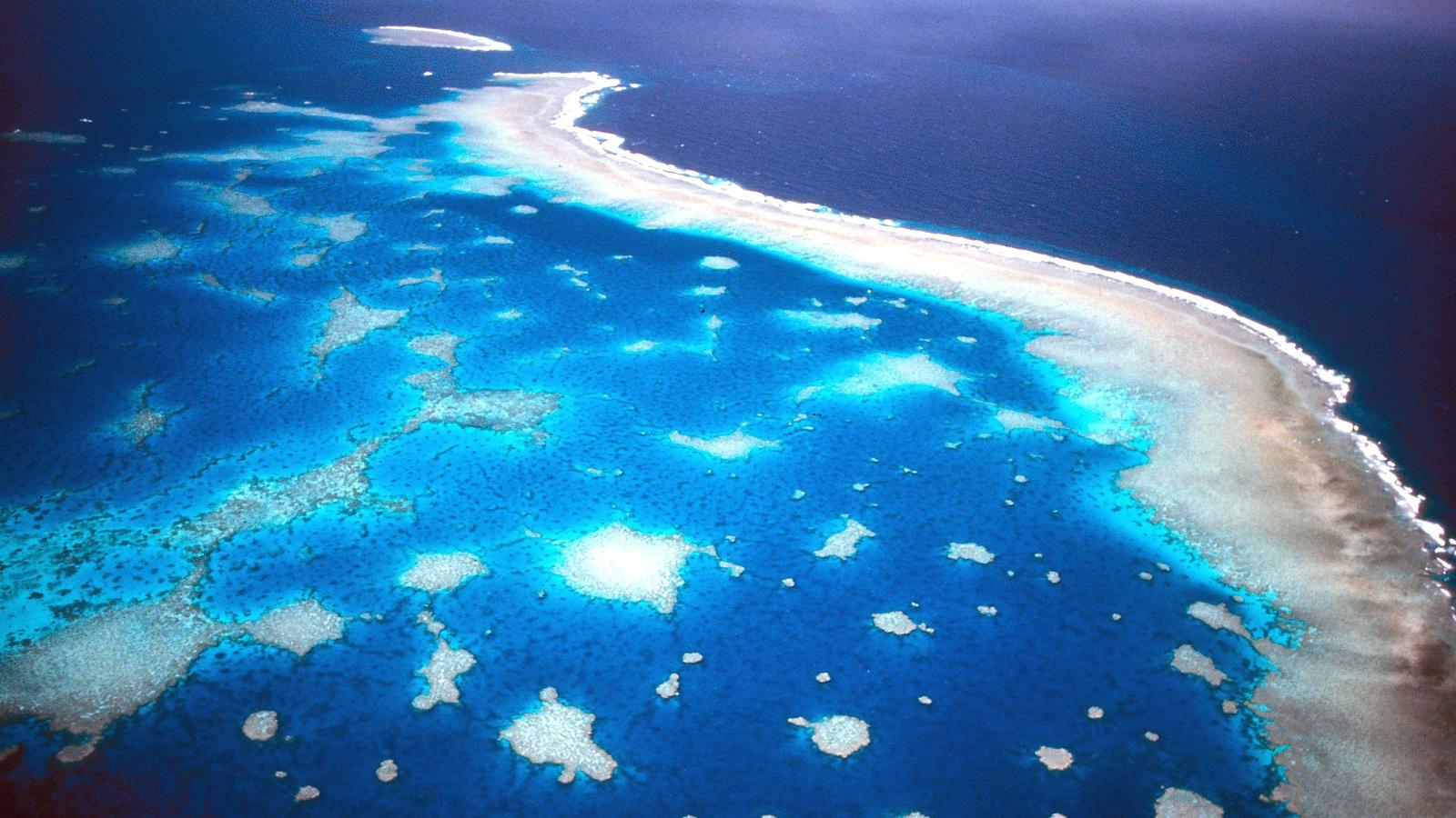 Korallenriff vor Australien auf der Intensivstation Eine Luftaufnahme des Grat Barrier Reef in Australien.