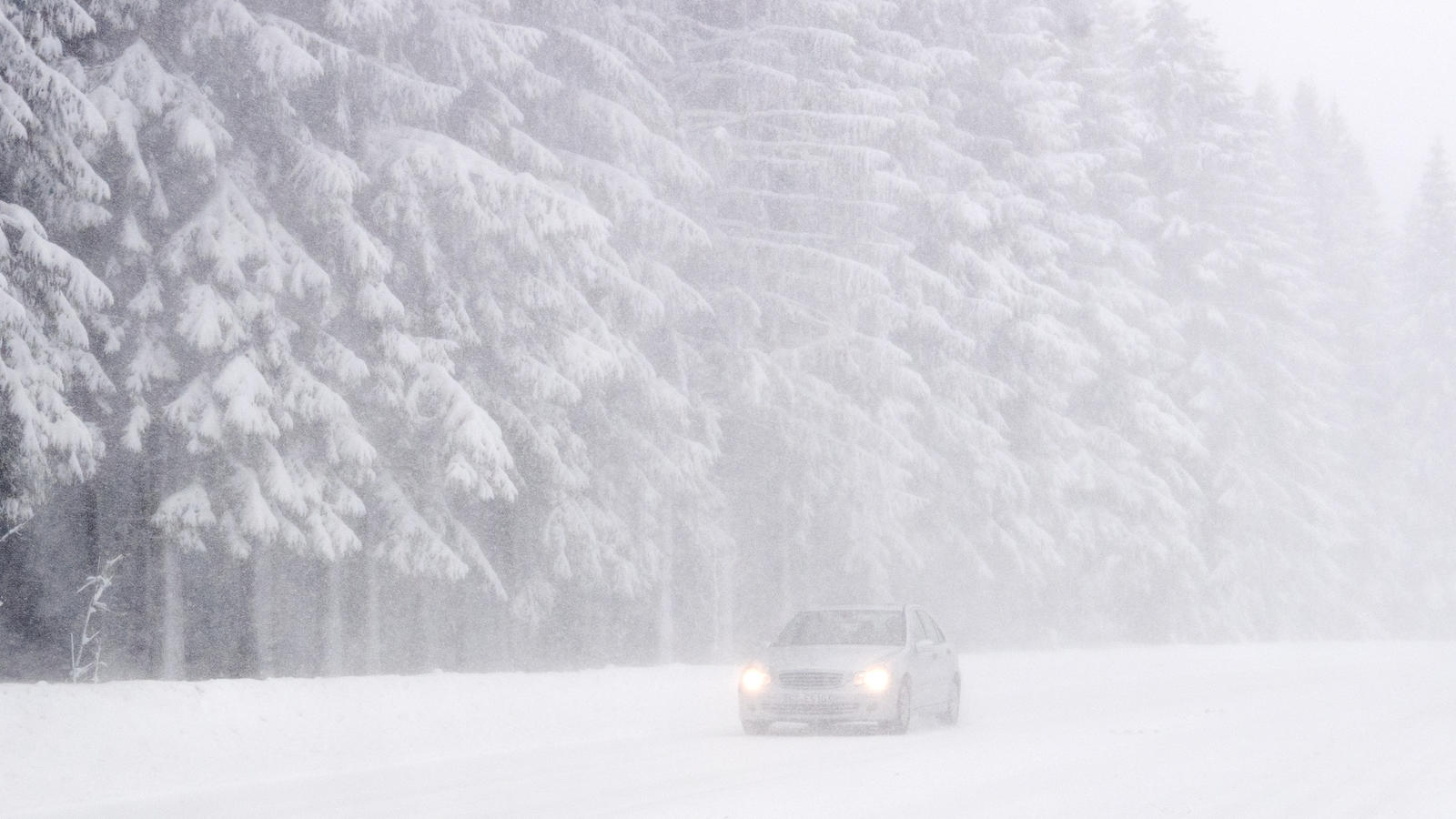 Eisregen, Orkanböen und viel Schnee: Tief 'Egon' hat Deutschland fest im Griff Wälder sind wegen Sturmtief Egon jetzt nicht sicher.