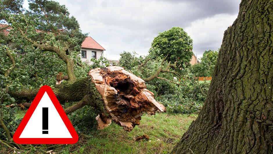 Wetter Hamburg: Aktuelle Wettervorhersage und 2-Tage-Vorschau Wetter Hamburg: Aktuelle Wettervorhersage und 2-Tage-Vorschau