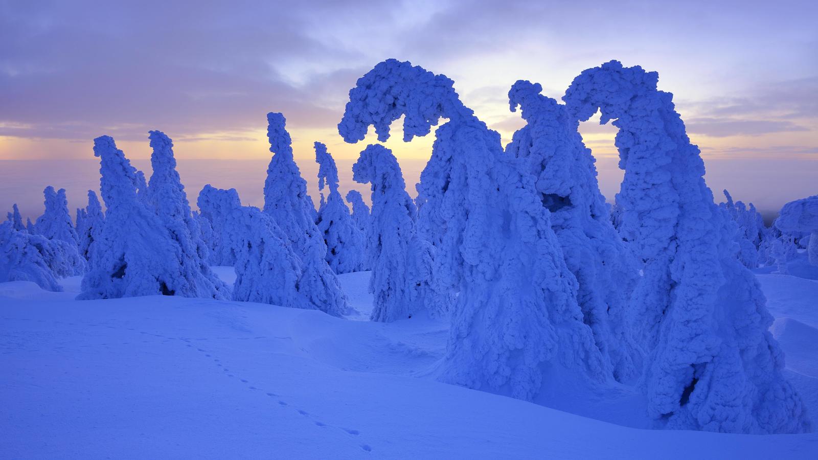 Winter 2016/2017: So war das Wetter von Dezember bis Februar So war das Wetter im Winter (Dezember bis Februar)