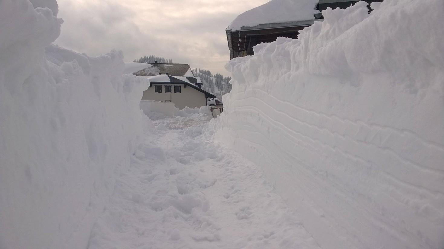 Kommt ein Jahrhundertwinter? Ja oder nein? schnee