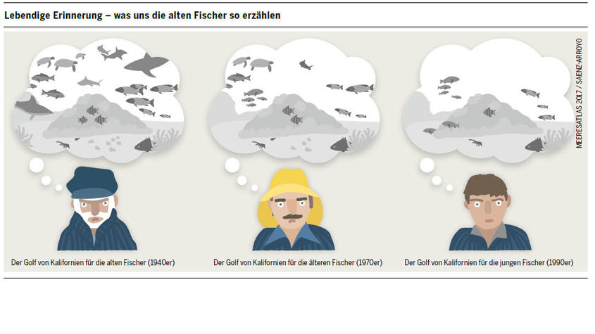 Anstieg des Meeresspiegels, Überfischung und Vermüllung der Ozeane Artenschwund im Golf von Kalifornien. (Meeresatlas 2017, Heinrich-Böll-Stiftung)