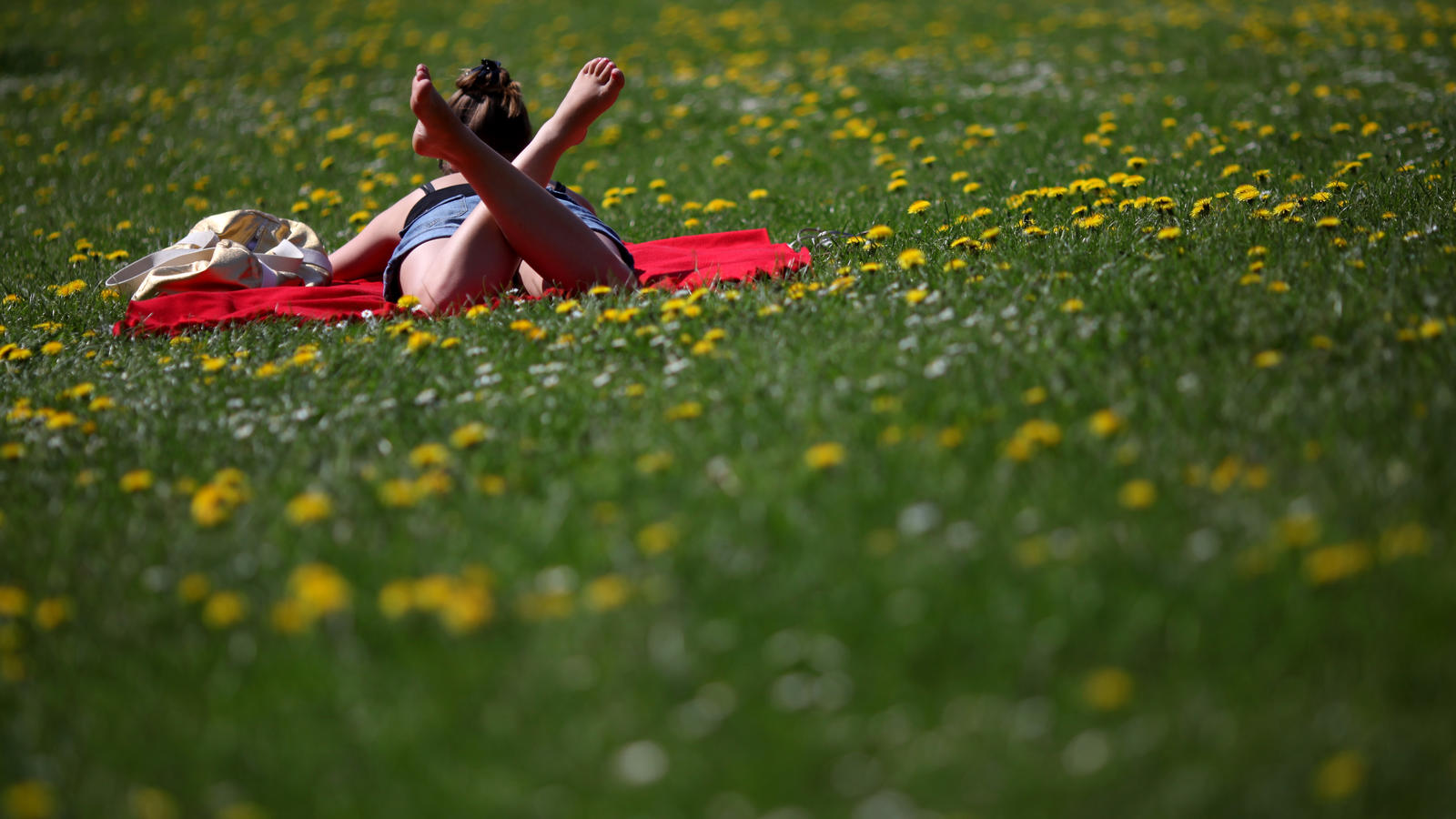 Sommer-Prognose nach Frühlingsfrust: Knackt der Mai die 25-Grad-Marke? Wann gibt es endlich wieder Sonne satt? Mit unseren Wetter-Prognosen sind Sie immer auf dem aktuellen Stand.