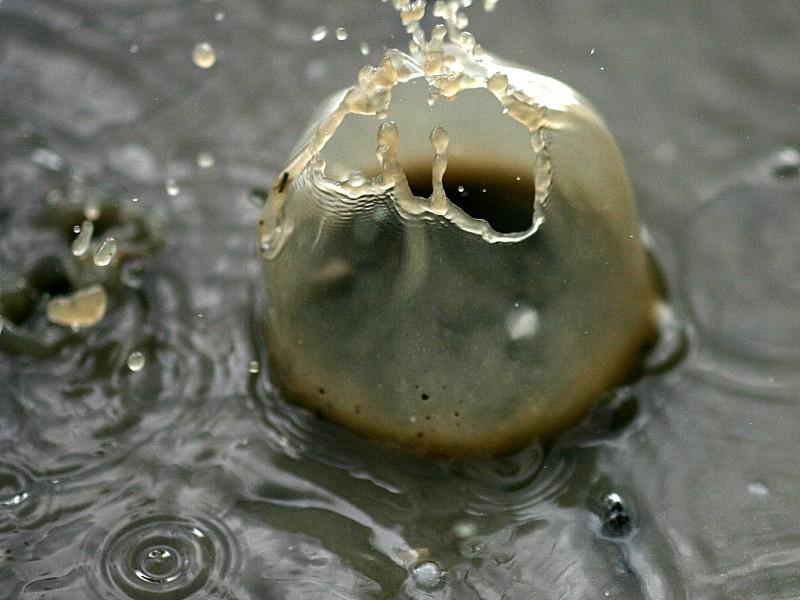 Wetterphänomen Niederschlag Wetterphänomen Niederschlag