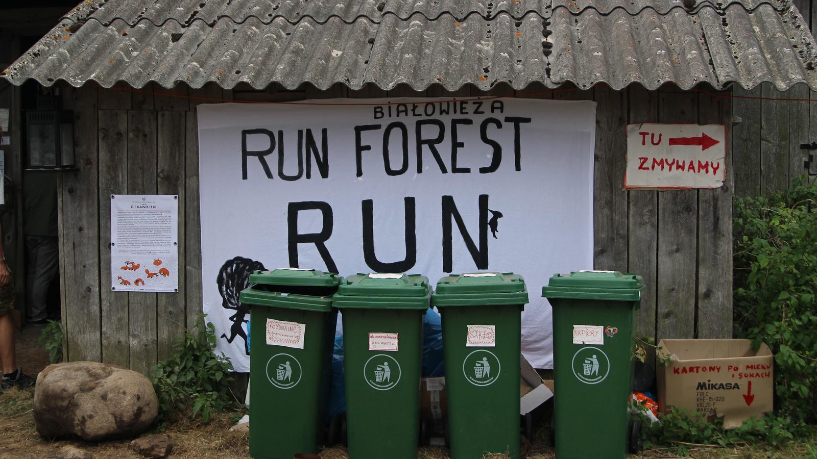 Sorge um Europas letzten Urwald: Polen möchte Nationalpark Bialowieza abholzen Polen: Letzter Urwald vor der Abholzung