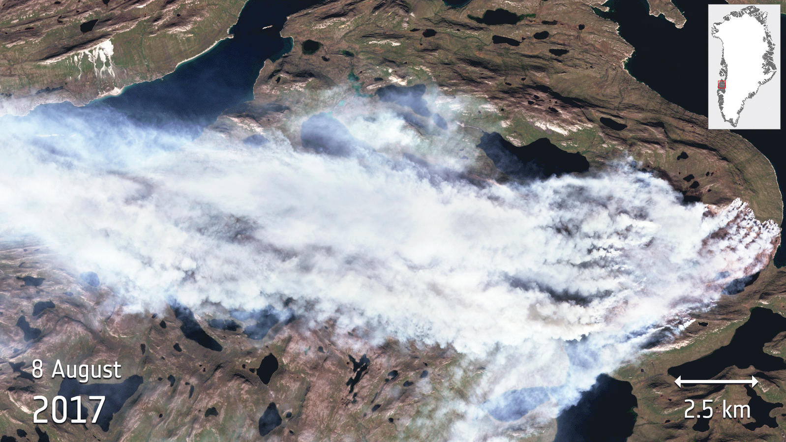 Grönland: Die Insel aus Eis brennt Feuer auf Grönland