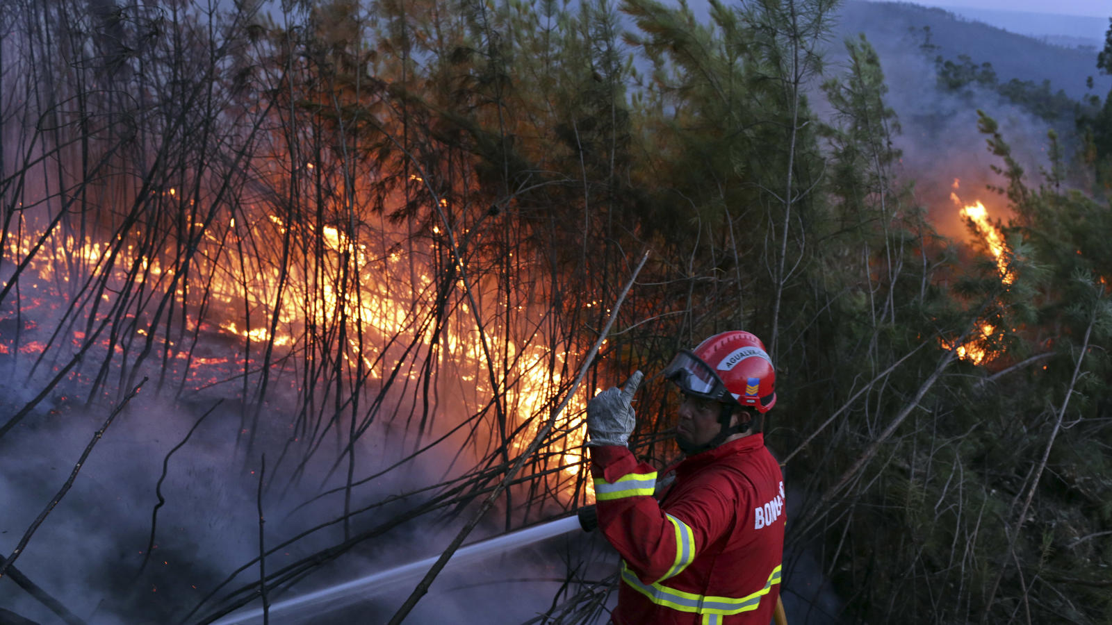 Waldbrände wüten in Südeuropa: Ferienorte in Griechenland, Portugal und Italien in Gefahr Die Feuerwehr bekämpft am 14.08.2017 einen Waldbrand an einem Hang bei Ferreira do Zezere nahe Vila de Rei (Portugal). Offiziellen Angaben zufolge mussten über 100 Menschen ihre Häuser in Vila de Rei in Zentralportugal verlassen, mehr als 3700 Feuerw