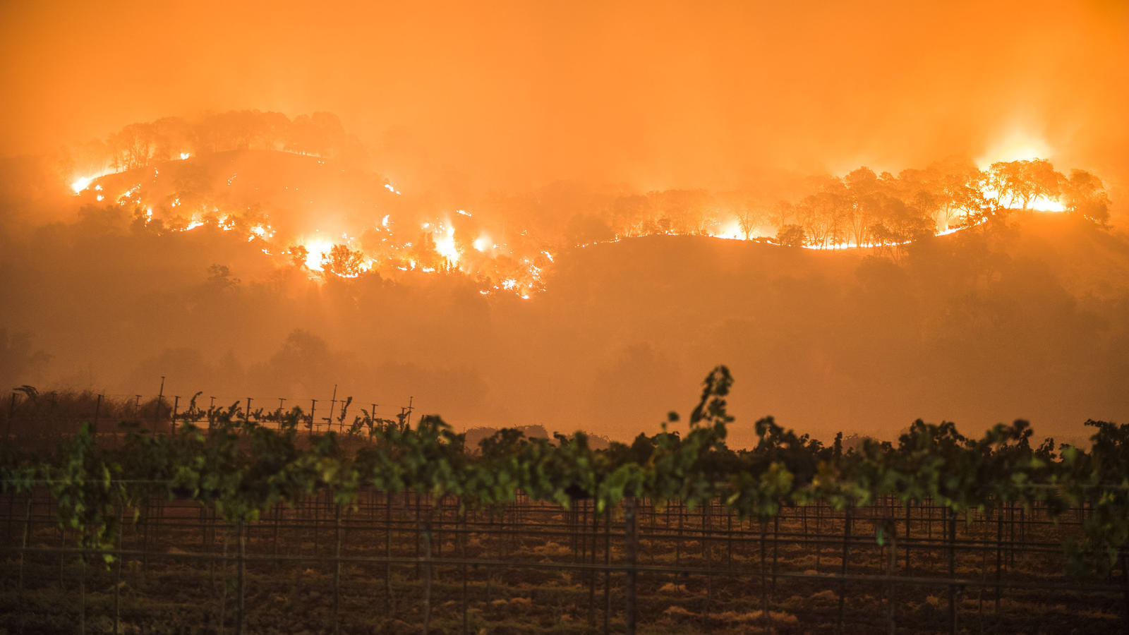 Aus Angst vor Waldbränden in Kalifornien: Energieversorger knipst den Strom aus dpatopbilder - Ein Waldbrand wütet am 10.10.2017 in Napa County (USA) in der Nähe der Weinberge. Bei den verheerenden Wald- und Buschbränden im Norden Kaliforniens sind mindestens 17 Menschen ums Leben gekommen. (zu dpa «Mindestens 17 Tote bei Brände