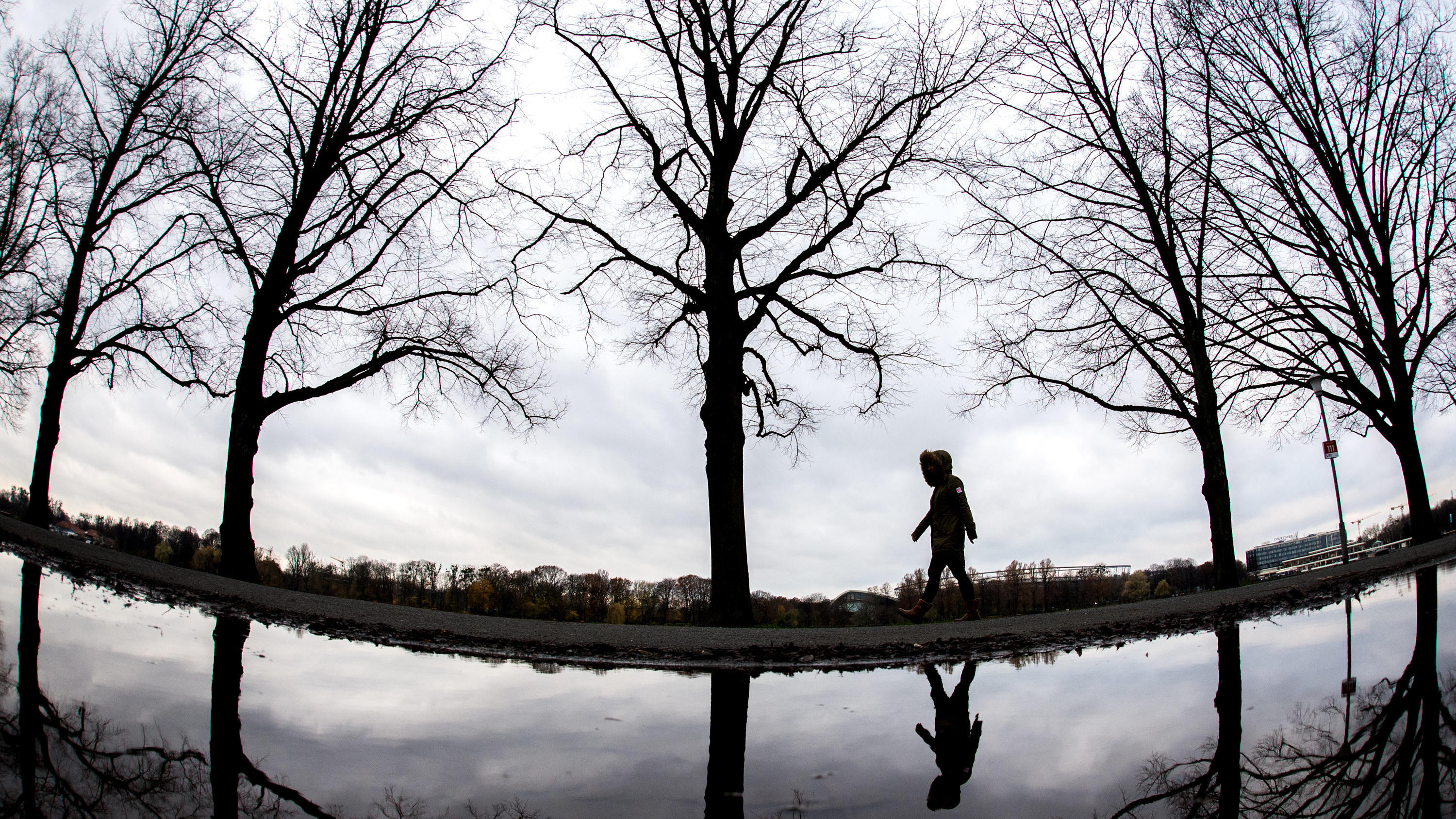 Herbst 2017 war zu nass - Oktober und November auch zu warm Ein Frau geht am 26.11.2017 in Hannover (Niedersachsen) entlang einer kahlen Allee und spiegelt sich dabei in einer großen Pfütze (Aufnahme mit Fisheye-Objektiv). Foto: Hauke-Christian Dittrich/dpa +++(c) dpa - Bildfunk+++