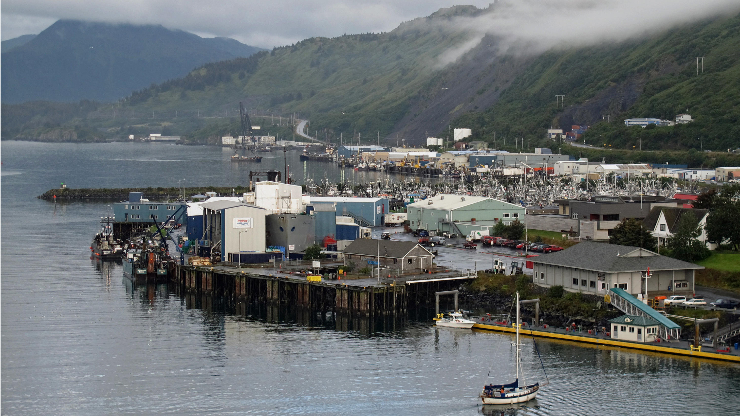 Starkes Erdbeben vor Alaska: Tsunami-Warnung für nordamerikanische Westküste wurde aufgehoben Schweres Erdbeben vor der Küste Alaskas
