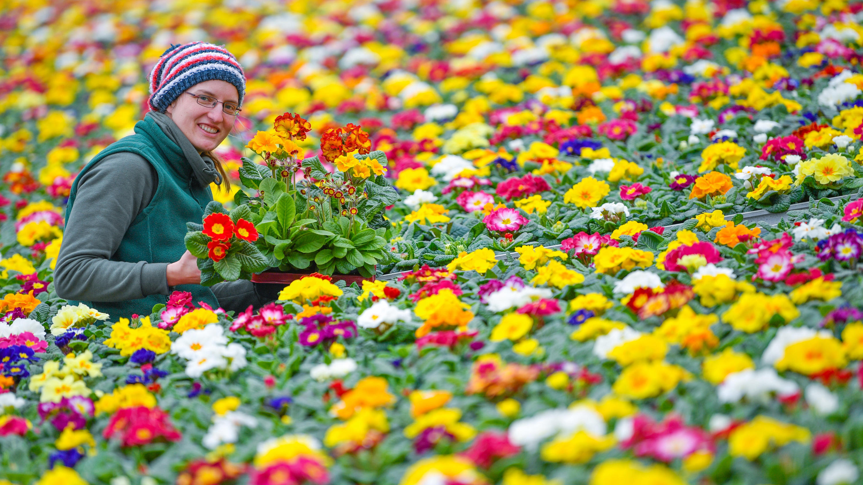 30-Tage-Wettervorhersage vom 19.03.2018: Wärmerer Frühling lässt sich Zeit Bis Mitte April können wir den farbigen Frühling wohl nur im Gewächshaus genießen