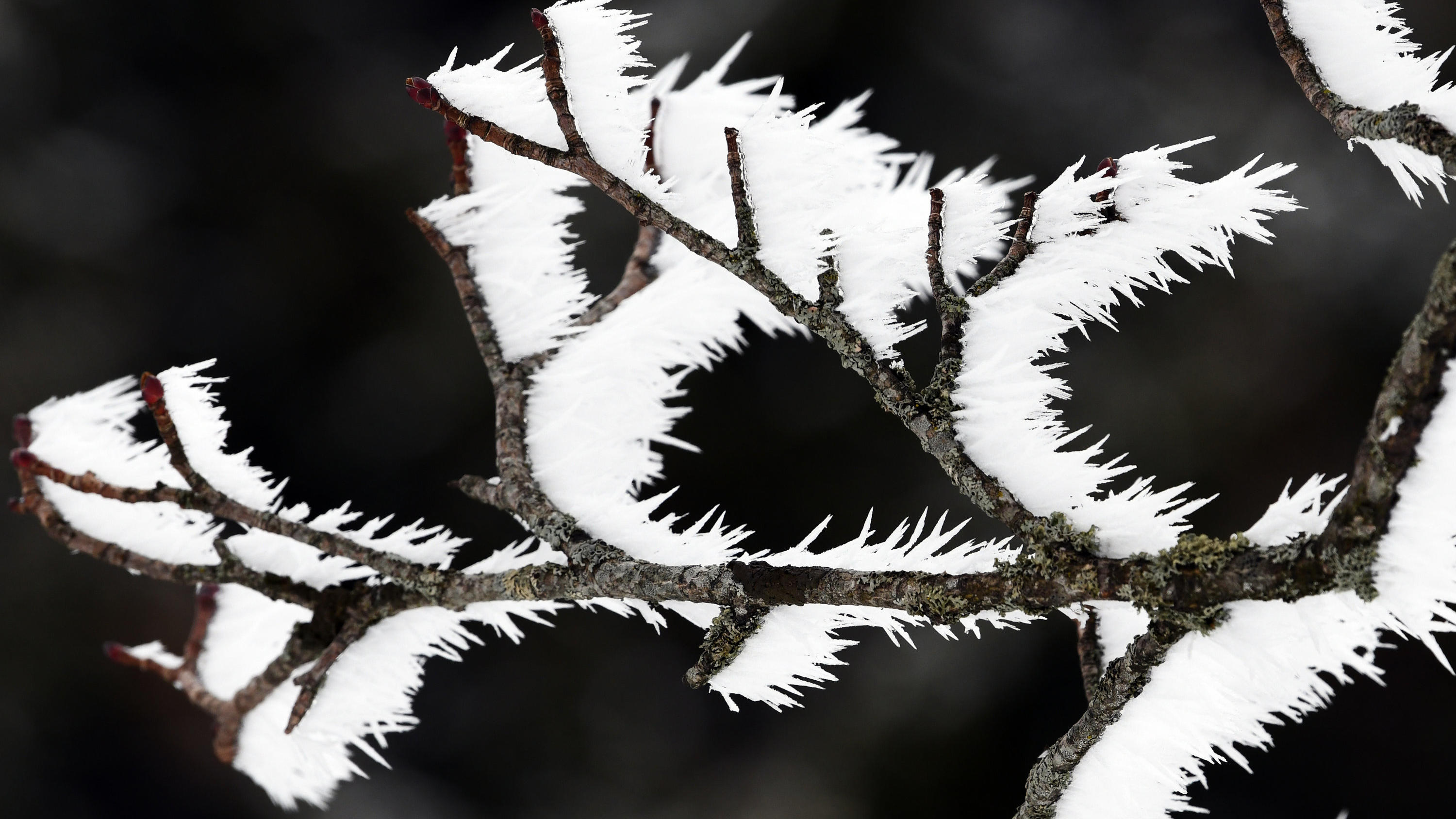 Der März kann Winter! Kaltlufteinbrüche (mit Schneefällen) sind im März ein Regelfall