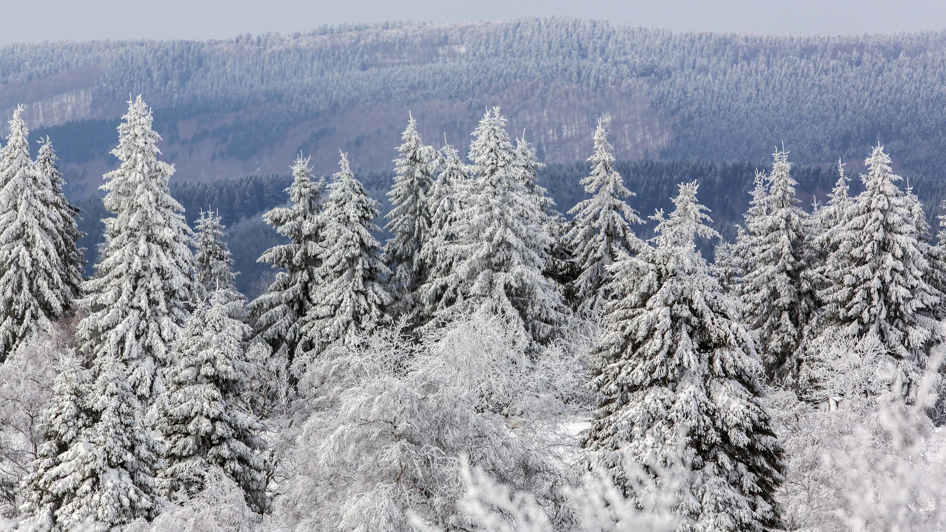 Der März kann Winter! Märzwinter
