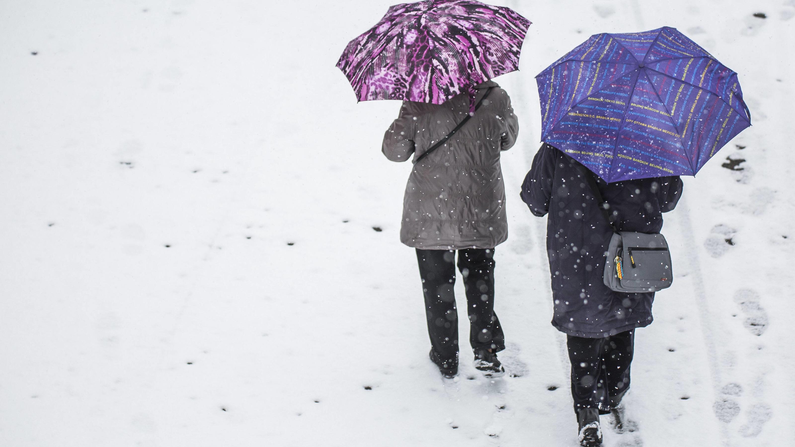 Adventstrend: Polarluft in Lauerstellung Der Regenschirm hilft auch bei Schnee