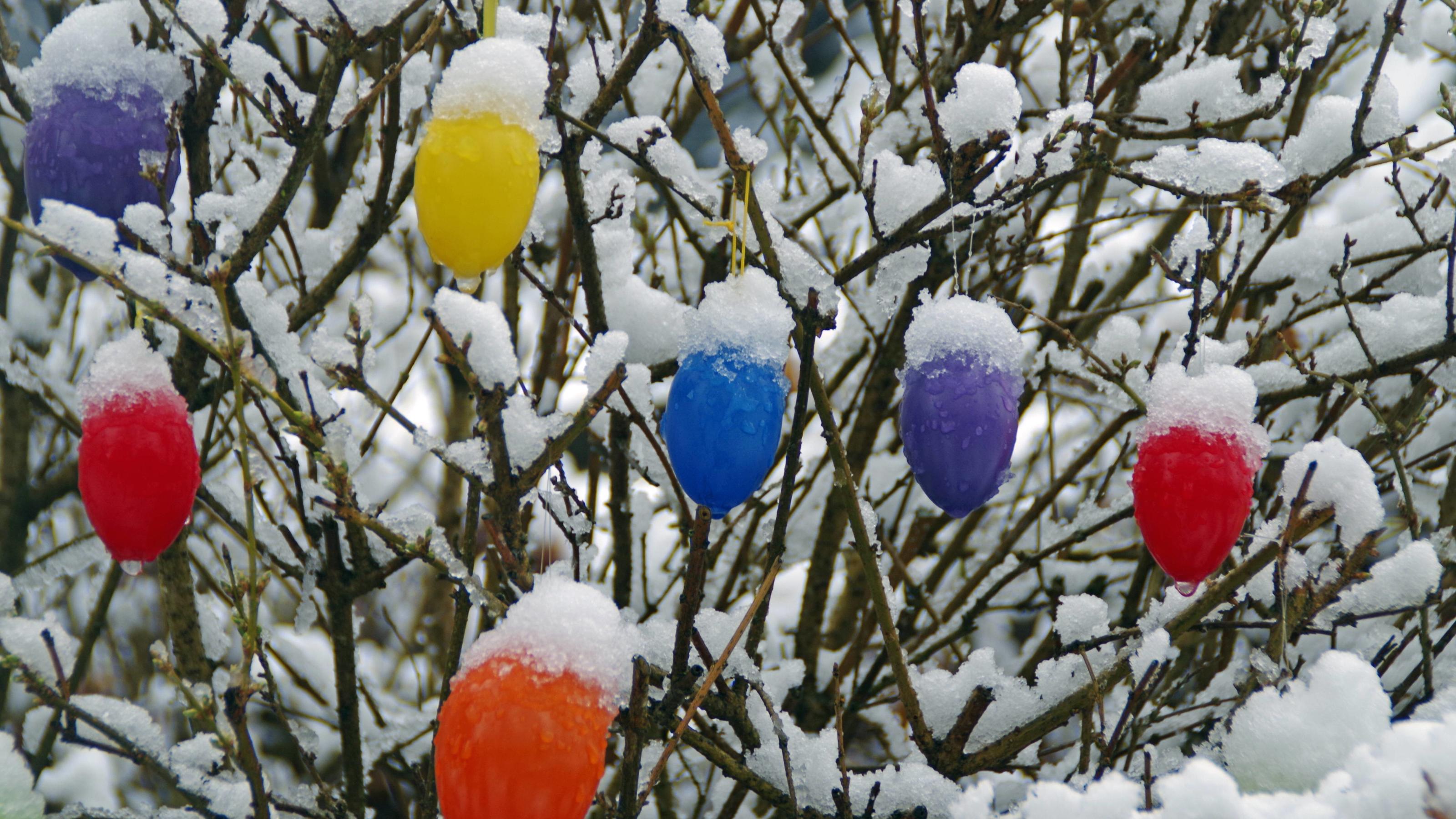 Wetterprognose April 2020: Das können wir vom launischen Wetter im April erwarten Bilder des Tages Wintereinbruch wenige Tage vor Ostern in Hamburg: Schneebedeckte Plastik-Ostereier hängen an einer Hecke. *** Winter comes a few days before Easter in Hamburg Snow-covered plastic Easter eggs hang on a hedge