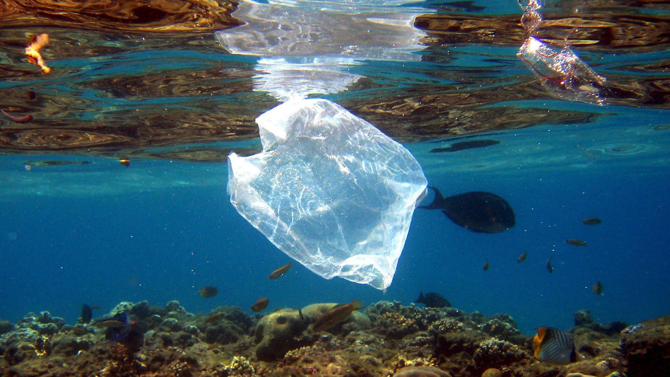Polarforscher Arved Fuchs findet Müll in menschenleerer Region ARCHIV - Eine Plastiktüte schwimmt über Korallen im Roten Meer in Ägypten am 01.08.2007. Die Vermüllung der Meere steht im Mittelpunkt einer am 30.05.2017 beginnenden dreitägigen Konferenz mit Vertretern der G20-Staaten in Bremen. (zu dpa "Konferenz