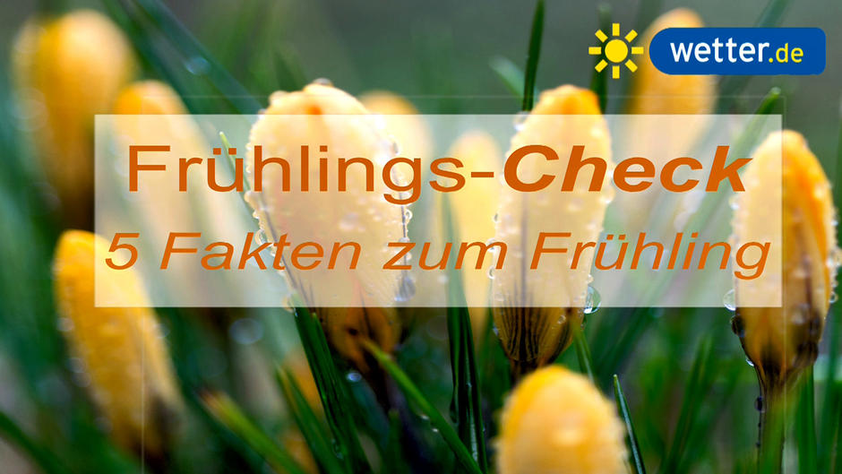 Die 5 Fakten zum Frühlingsanfang Die 5 Fakten zum Frühlingsanfang
