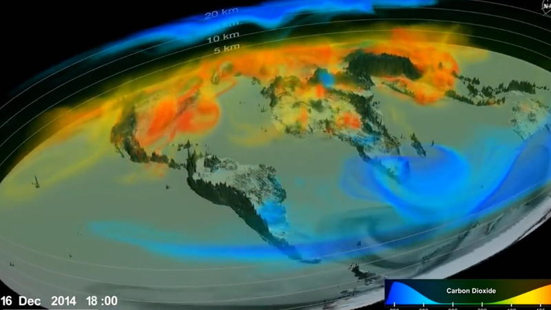 Dafür ist schlichtweg zu wenig Platz auf dem Planeten Die Bäume können den Klimawandel nicht mehr aufhalten