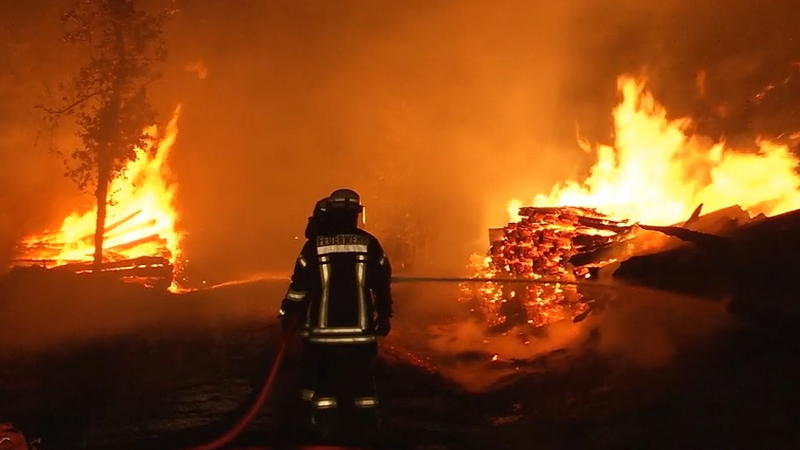 Höchste Waldbrandgefahrenstufe in Ostdeutschland Dürre 2018: 40 ha Wald in Sachsen-Anhalt verbrannt