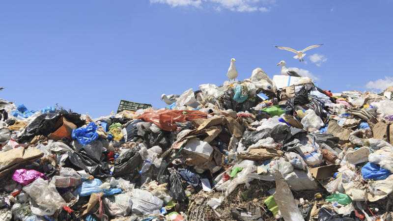 Tun Sie der Umwelt einen Gefallen! So einfach können Sie Plastikmüll vermeiden