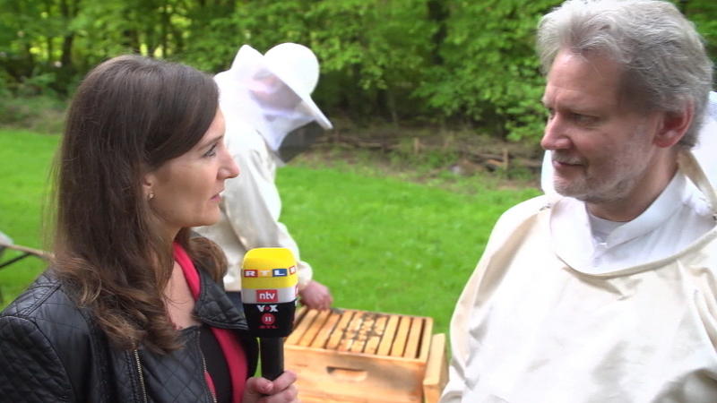 Neonikotinoide wirken verheerend auf Insektenbestand
