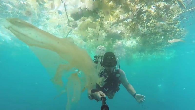 Taucher filmt Plastikwolke in der Nähe von Bali Horror: So vermüllt sind unsere Meere!