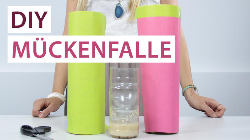 Insektenabwehr basteln: So schnell geht's DIY-Mückenfalle selber bauen