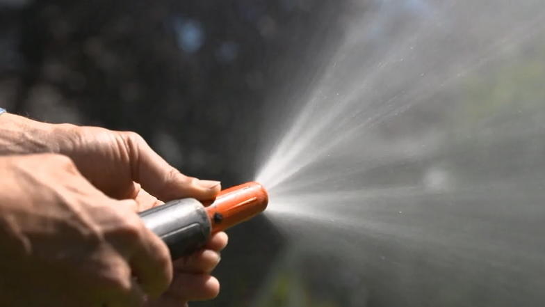 3 heiße Tipps für das Blumengießen im Sommer Damit der grüne Daumen nicht welk wird