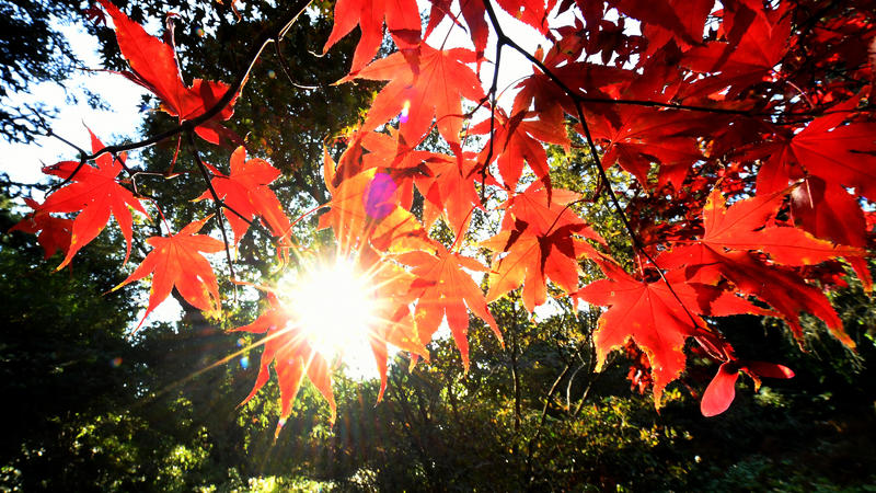 Der Mittwoch bleibt warm, trocken und meist sonnig Der Wetterbericht für den 17.10.2018