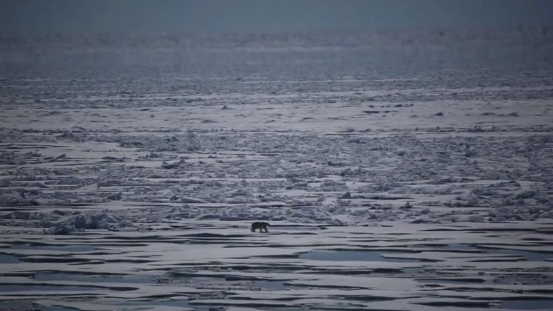 Wissenschaftler warnen eindringlich Trauriger Rekord von klimaschädlichen Gasen