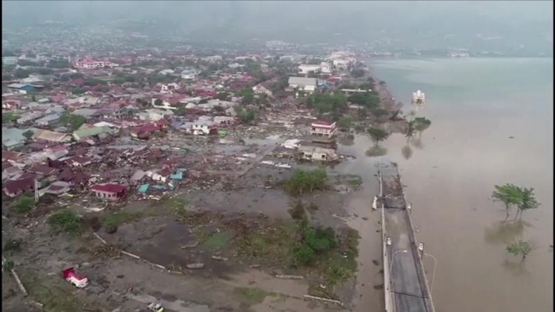 Keine Tsunami-Warnung Darum hat das Warnsystem keinen Alarm geschlagen