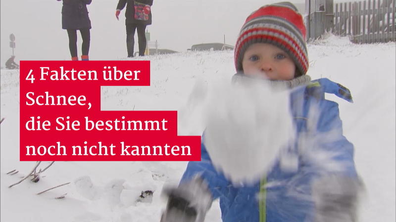 Die kennen Sie bestimmt noch nicht 4 spannende Fakten über Schnee