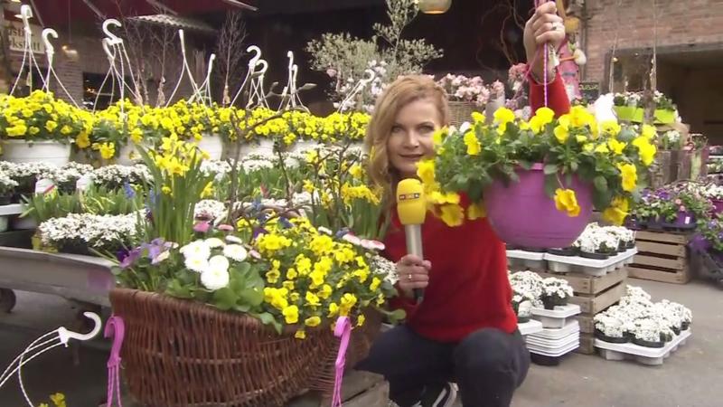 Wettermoderatorin Eva Imhof kommentiert Der Frühling startet