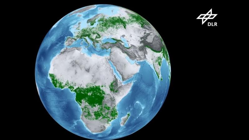 Waldkarte weltweit So viel Wald gibt es auf der Erde