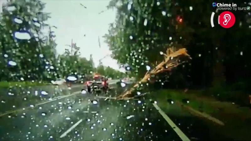 Da hatte jemand richtig viel Glück Blitz knallt direkt vor Auto in den Baum