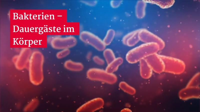 Gesundheitslexikon Was sind Bakterien?