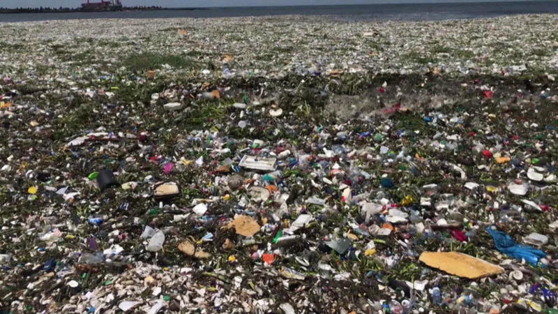 World Ocean Day So schlimm sehen unsere Meere aus