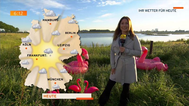 Der Wetterbericht (Heute mit Flamingos) Nur vereinzelte Schauer und Gewitter
