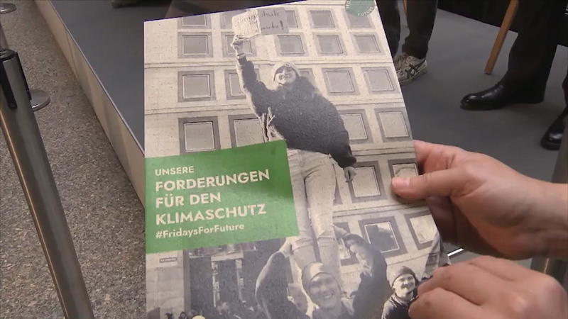 CO2-Steuer Das kostet Fridays for Future