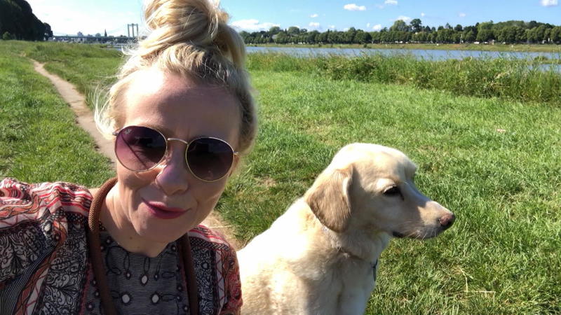 6 Tipps getestet Reportertest: Wie schütze ich Hunde vor Hitze