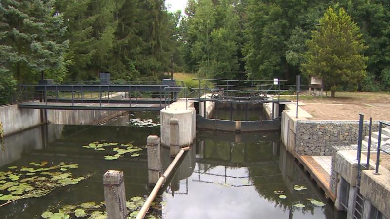 Schleusen gesperrt, Bewässerung verboten Wassermangel im Naturparadies Spreewald