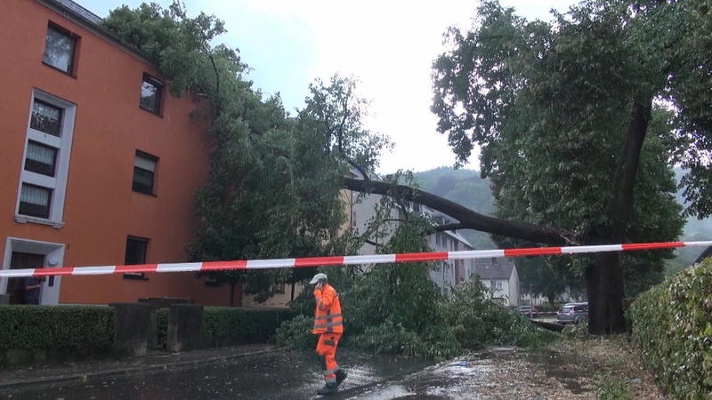 Keller und Straßen unter Wasser Schwere Unwetter in Trier