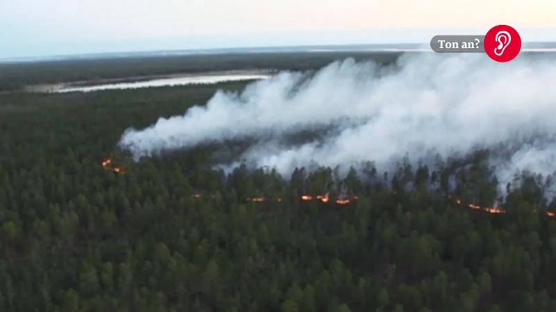 Krasse Waldbrände in der Arktis Es brennt lichterloh