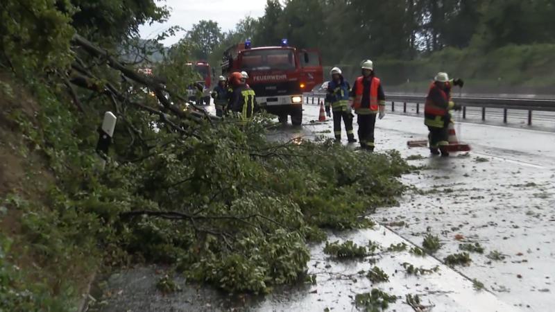 Unwetter in Deutschland Wald abgeholzt, Dächer abgedeckt, Stromausfälle
