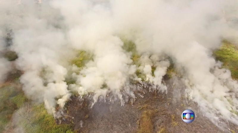 RTL-Experte im Interview Waldbrände wüten in Brasilien